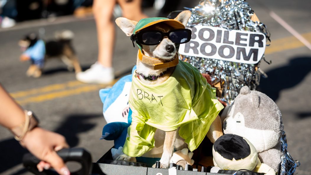 tompkins square halloween dog parade