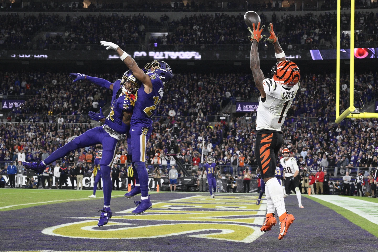 bengals ravens