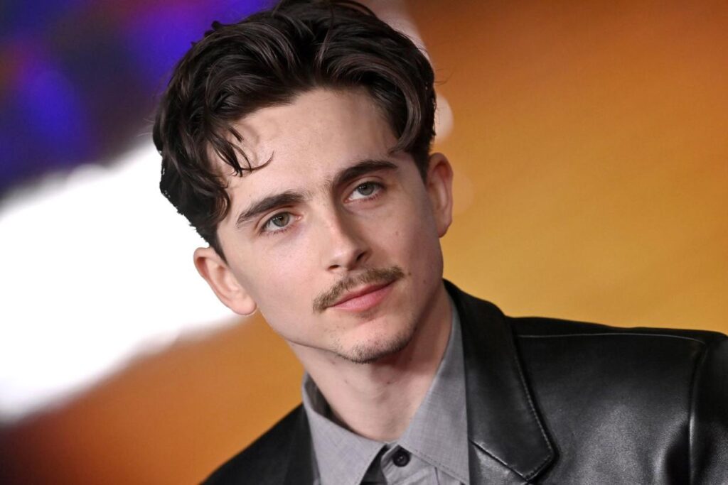 Timothée Chalamet