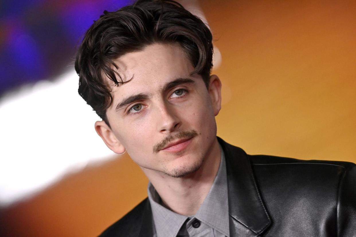 Timothée Chalamet: A Comprehensive Look at His Rise to Stardom and Cultural Impact